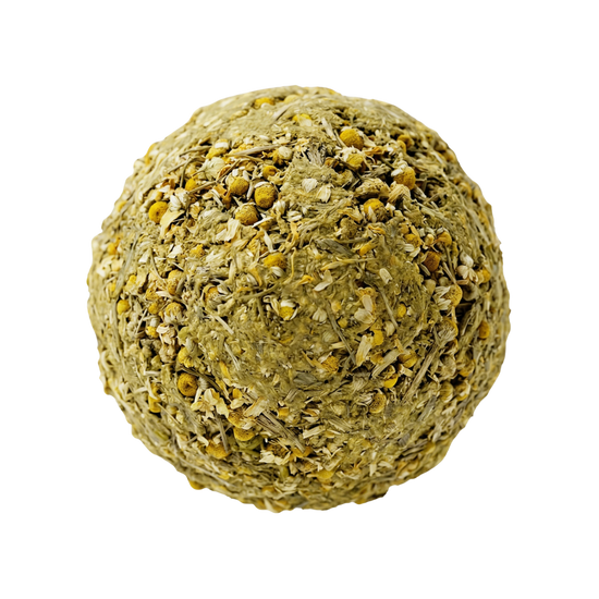 Chamaemelum Nobile