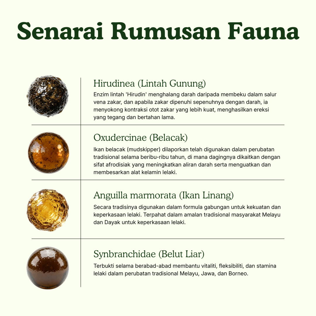 30ml Serum Urutan Topikal