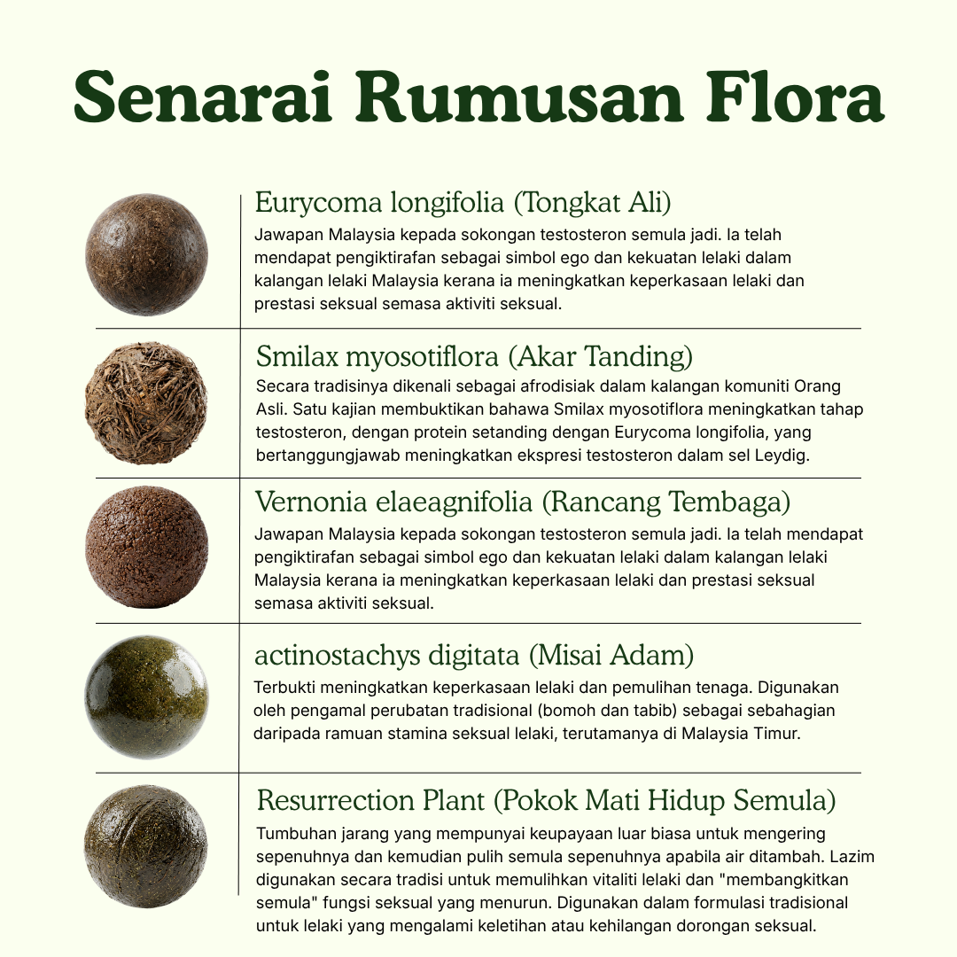 30ml Serum Urutan Topikal
